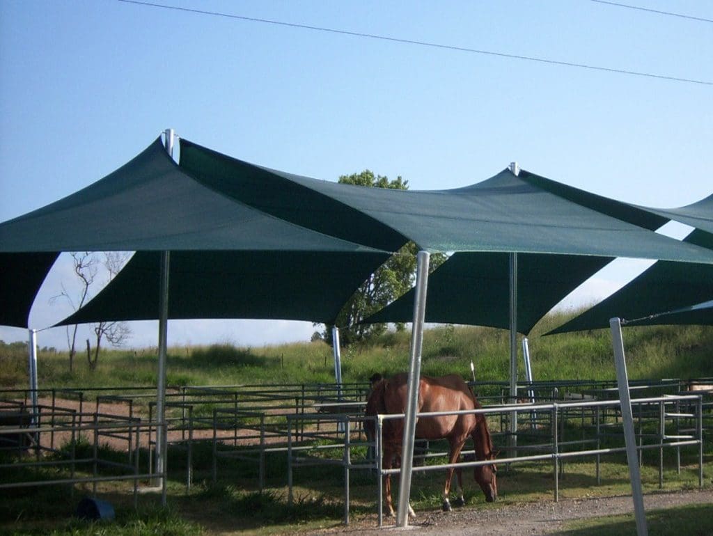 Midnight Green Shade Sails at Pony Club